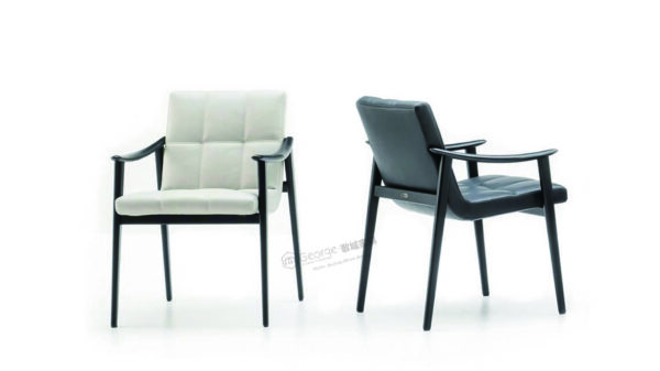 Modern Upholstered Ash Dining Chair