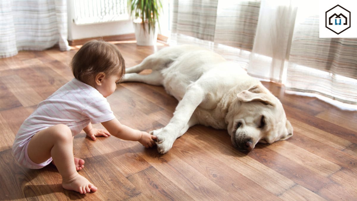 A baby and a golden lab sleeping together on pet friendly flooring