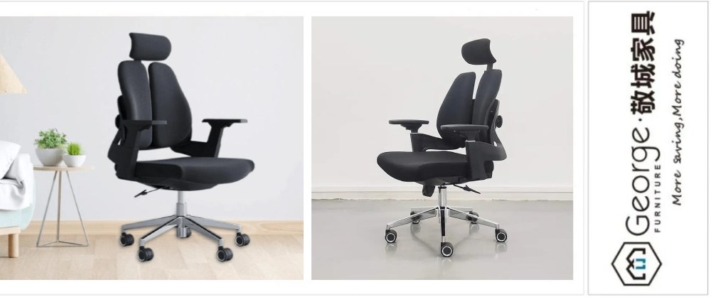 Ergonomic Office Chair for Back Pain