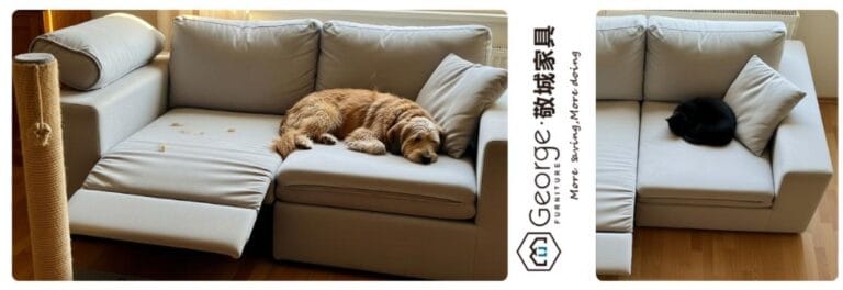 modular sofa with pet-friendly fabric, suitable for dogs and cats