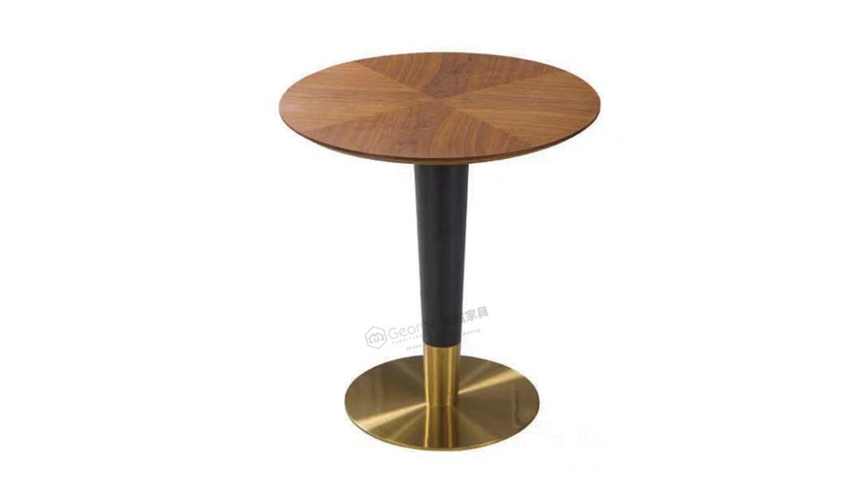 Modern Wood Brass Coffee Table