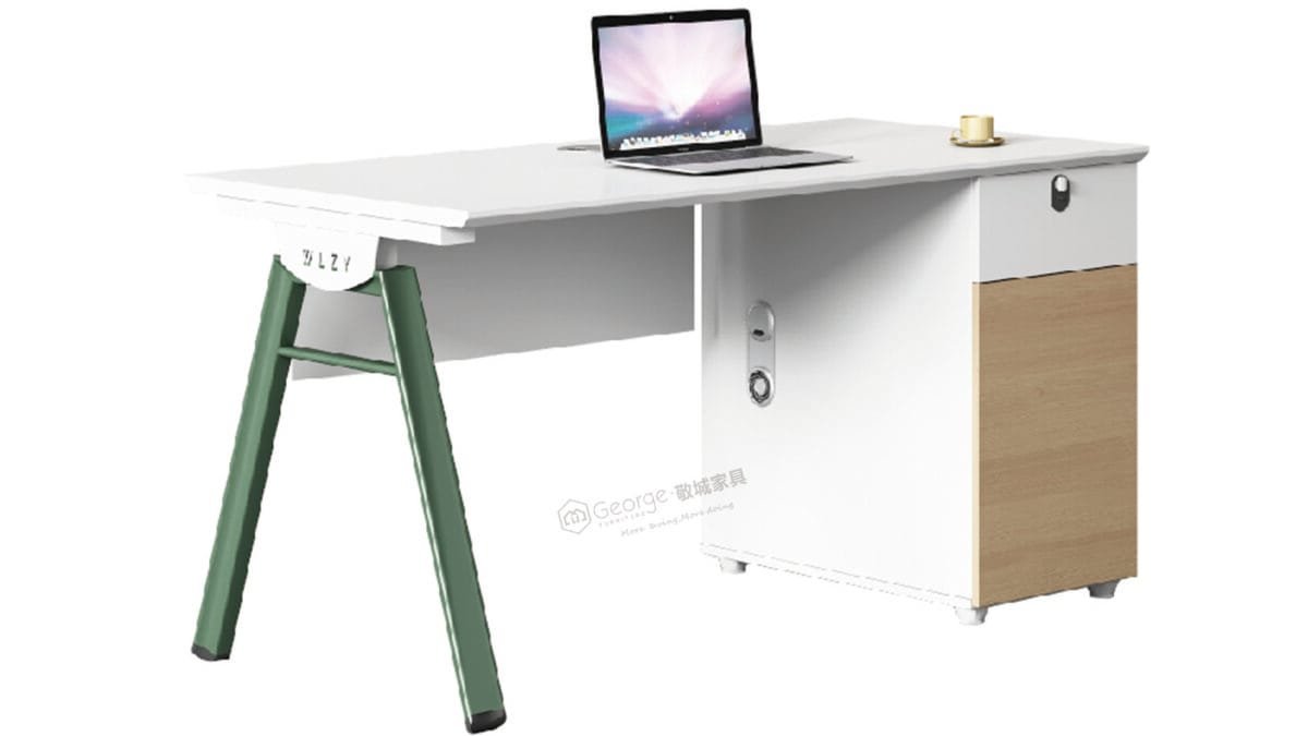 Modern Workstation Desk with Cabinet Storage